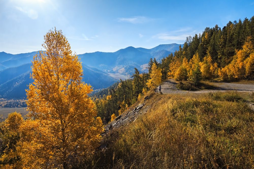 На перевале Чике-Таман.