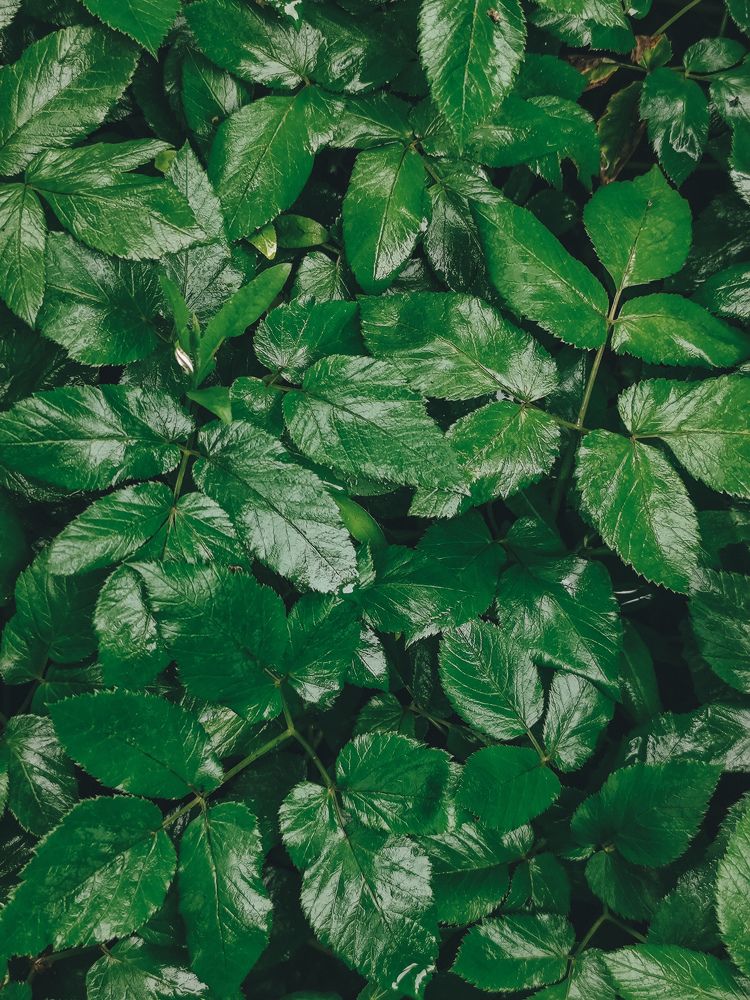 Фотография автора Ольга Маслова