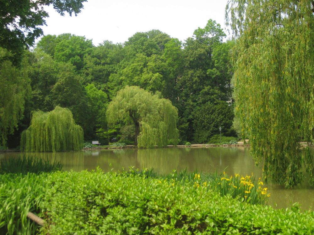 Photograph by Лариса Неудачина