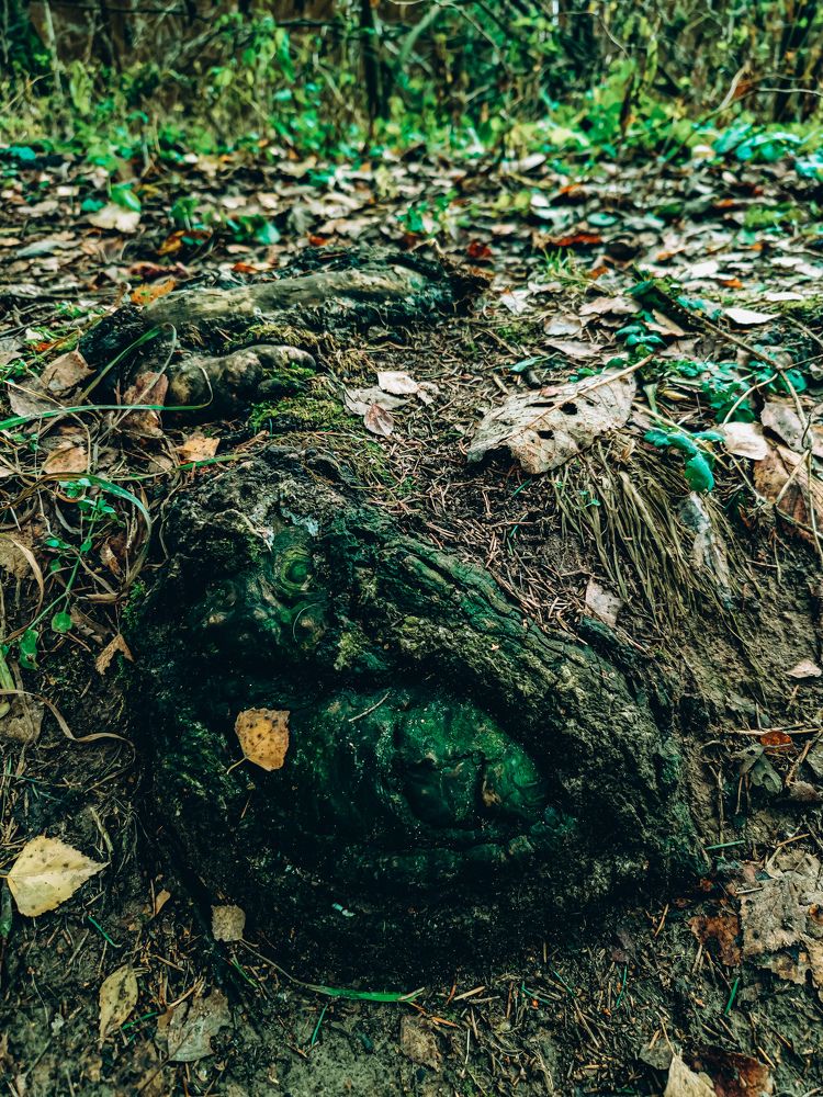 Фотография автора Ольга Маслова