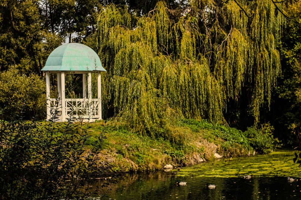 Photograph by Елена Квасова