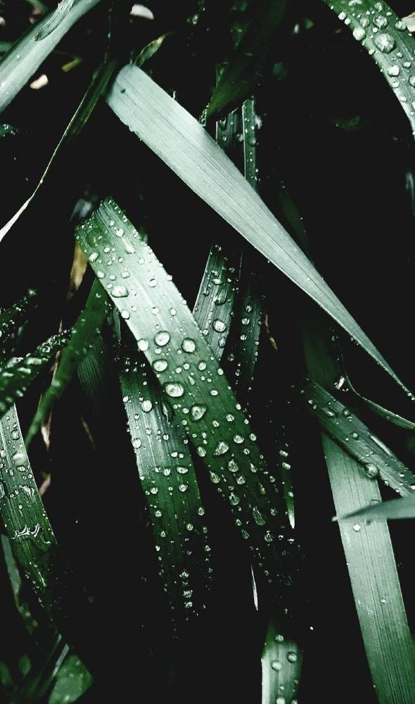 Photograph by Olga Александрова