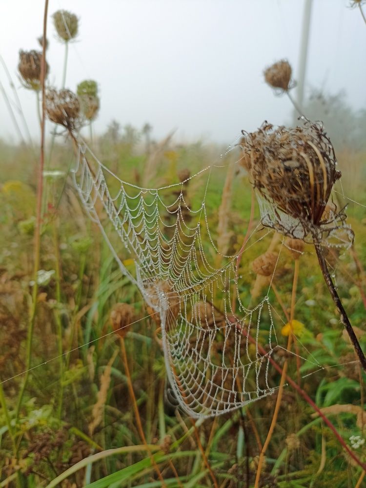 Photograph by Наталья Резванова