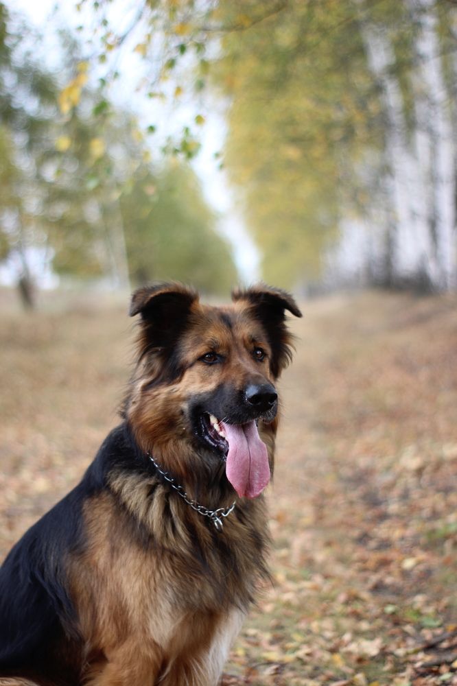 Photograph by Наталья Рыкова