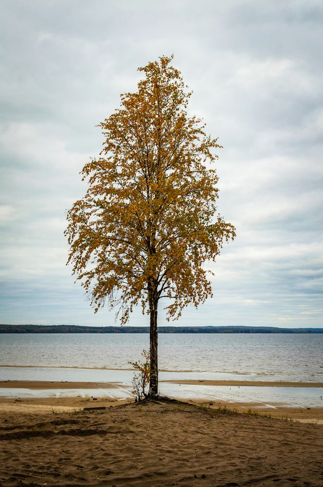 Photograph by Сергей Филатов