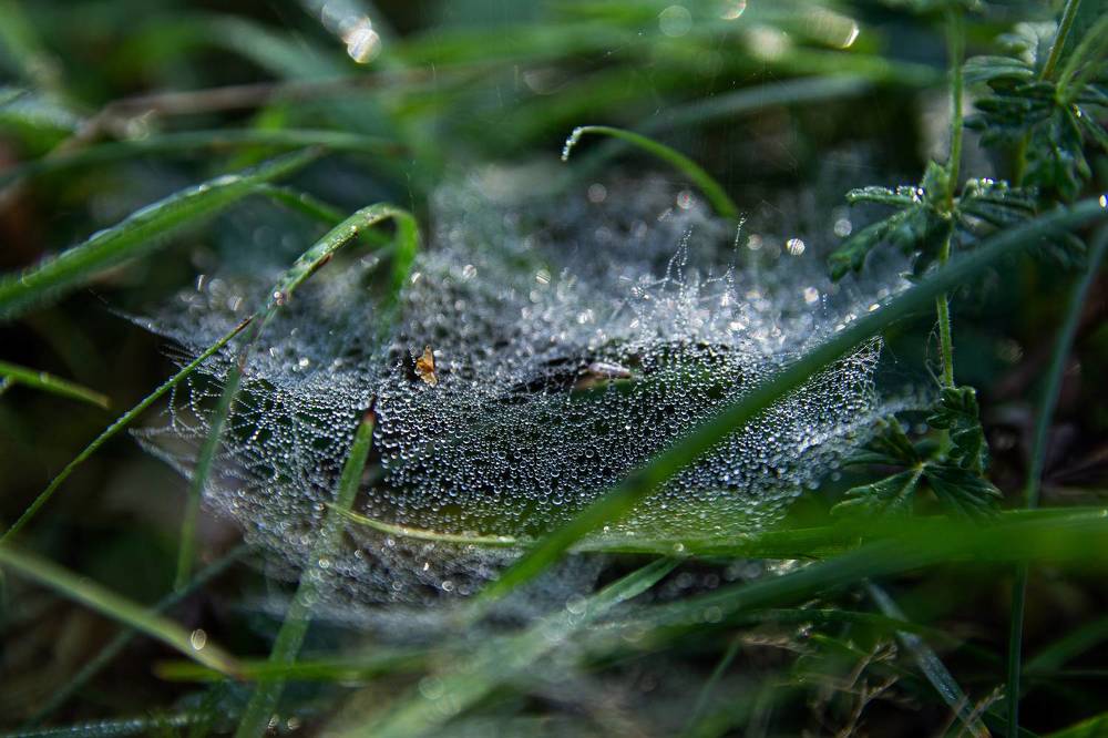 Photograph by Дарья Улюсова