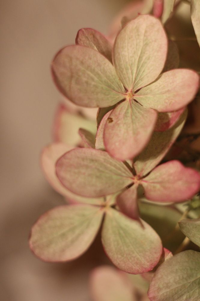 Photograph by Валерия Николаева