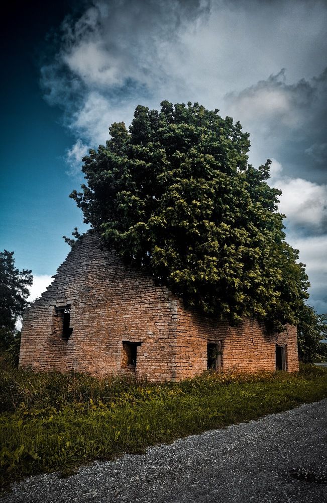 Photograph by Ljudmilla Pavljutsenkova