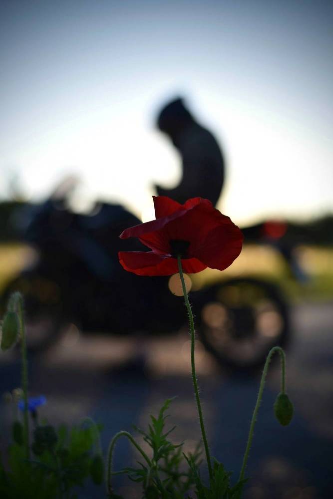 Photograph by Ljudmilla Pavljutsenkova