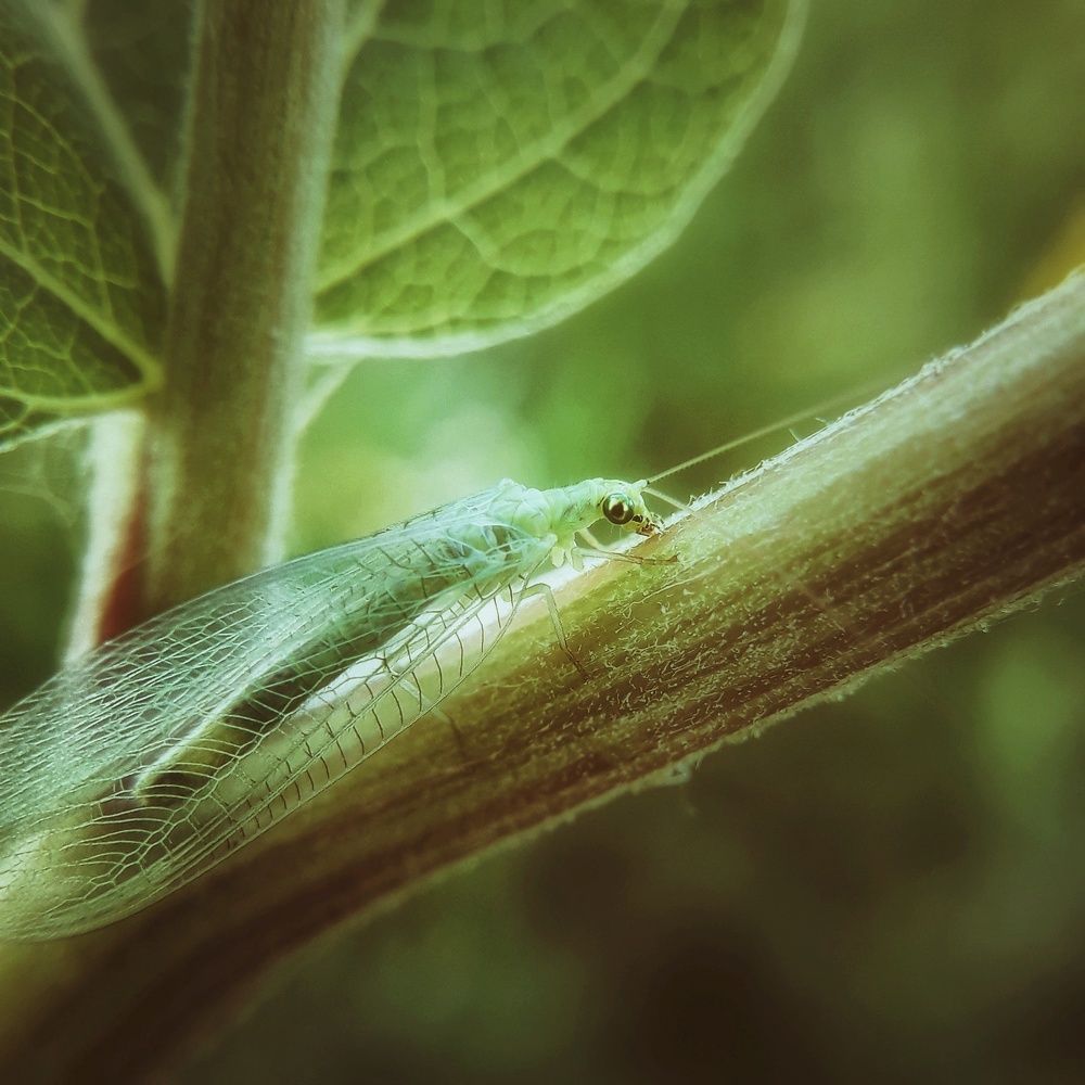 Photograph by Марина Мальцева