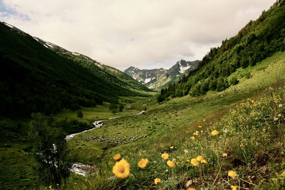 Photograph by Iva Ajva