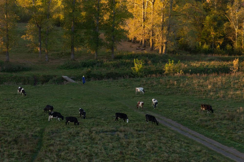 Photograph by Дарья Улюсова