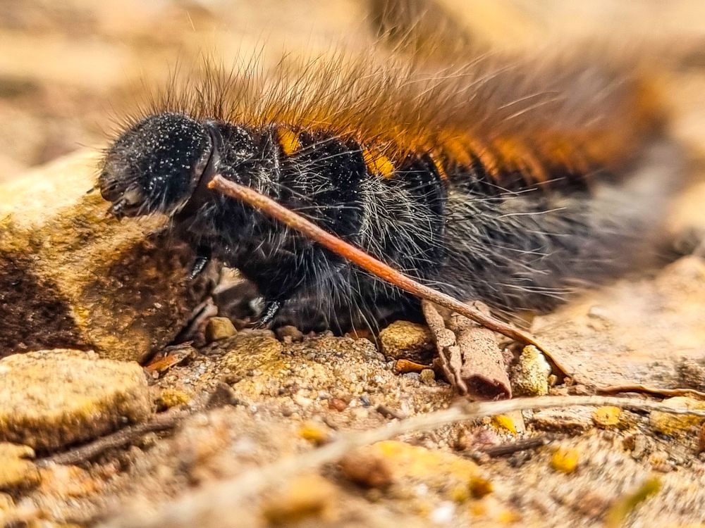 Photograph by ANDREY BATALOV