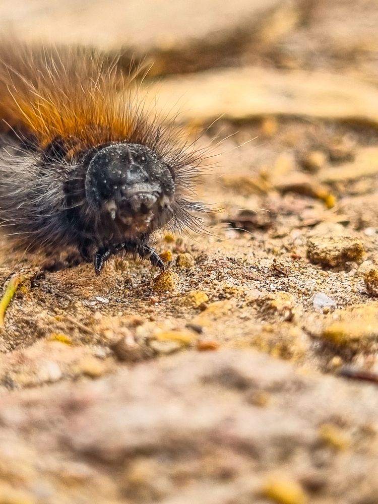 Photograph by ANDREY BATALOV