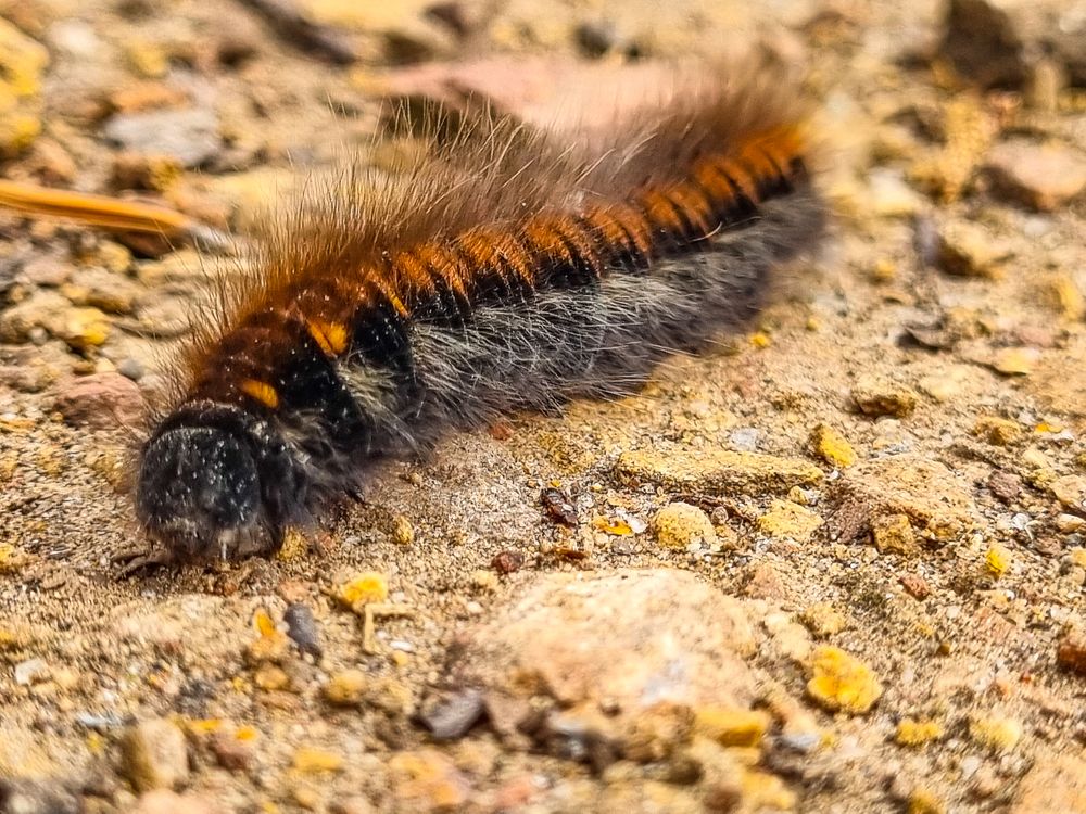 Photograph by ANDREY BATALOV