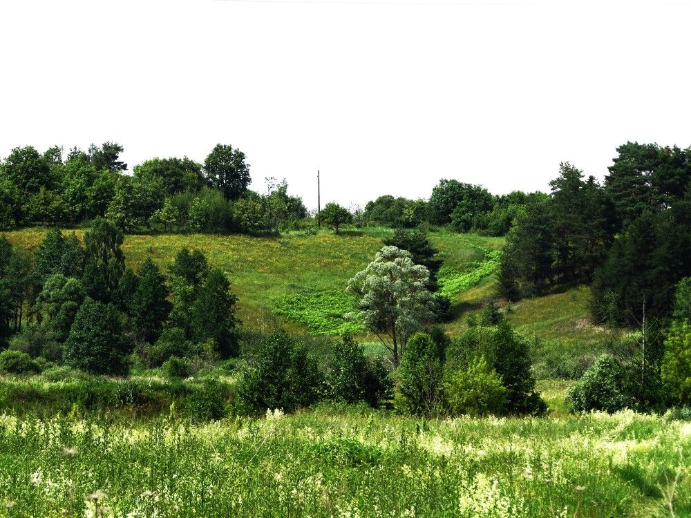 Photograph by Лариса Басова