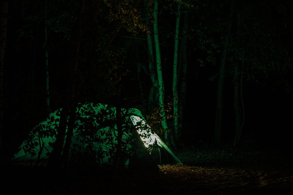 Photograph by Дарья Улюсова