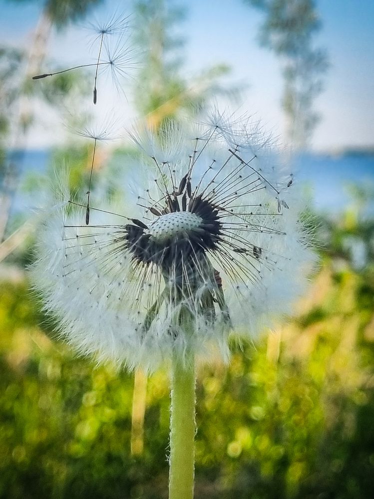 Photograph by ANDREY BATALOV