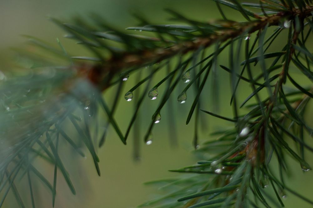 Photograph by Дарья Улюсова