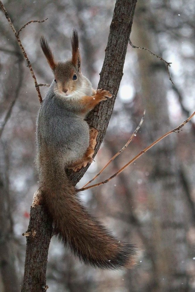 Photograph by Мария Глухова