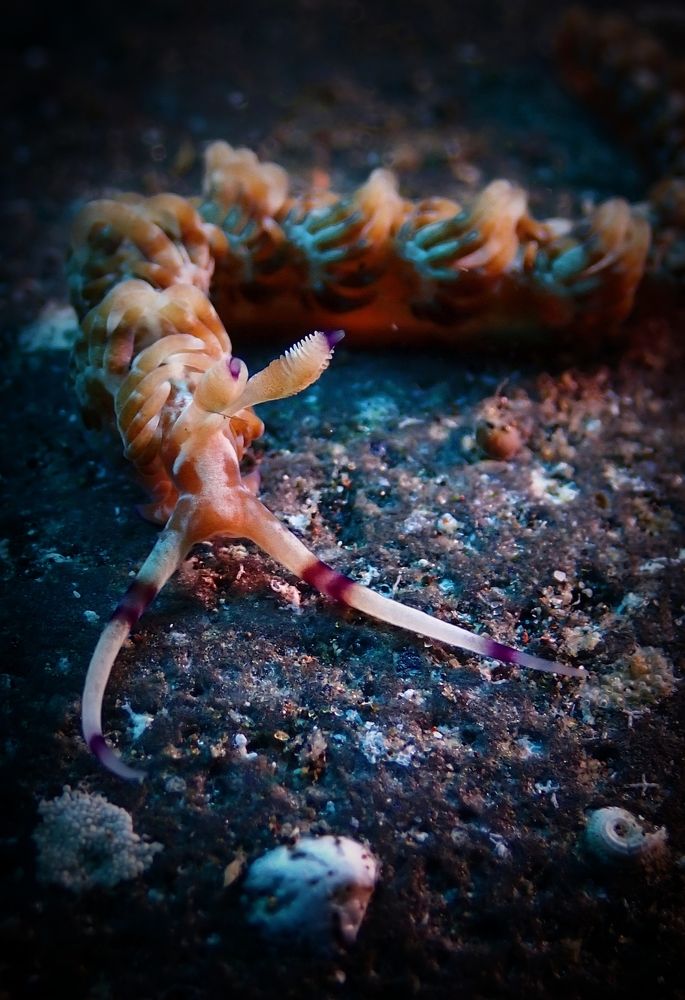 Photograph by Кирилл Леднев