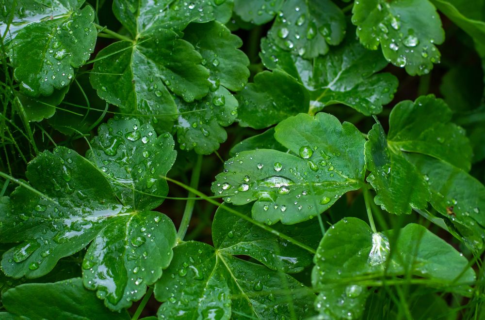 Photograph by Елена