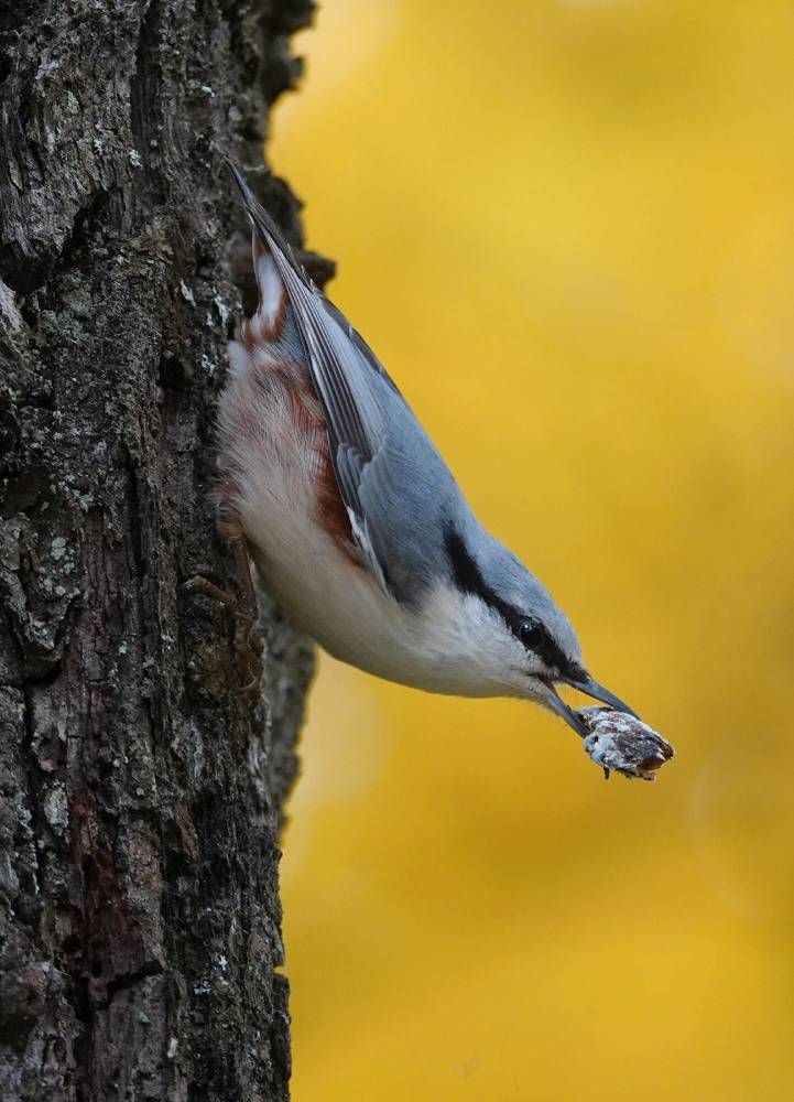 Photograph by Татьяна Орлова