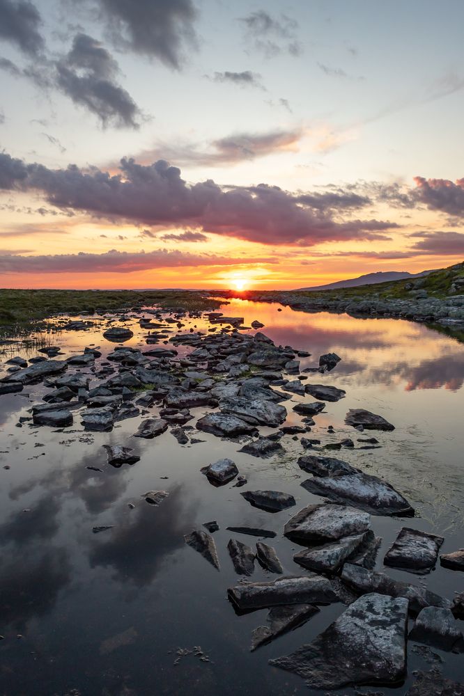 Photograph by Татьяна Тарасова