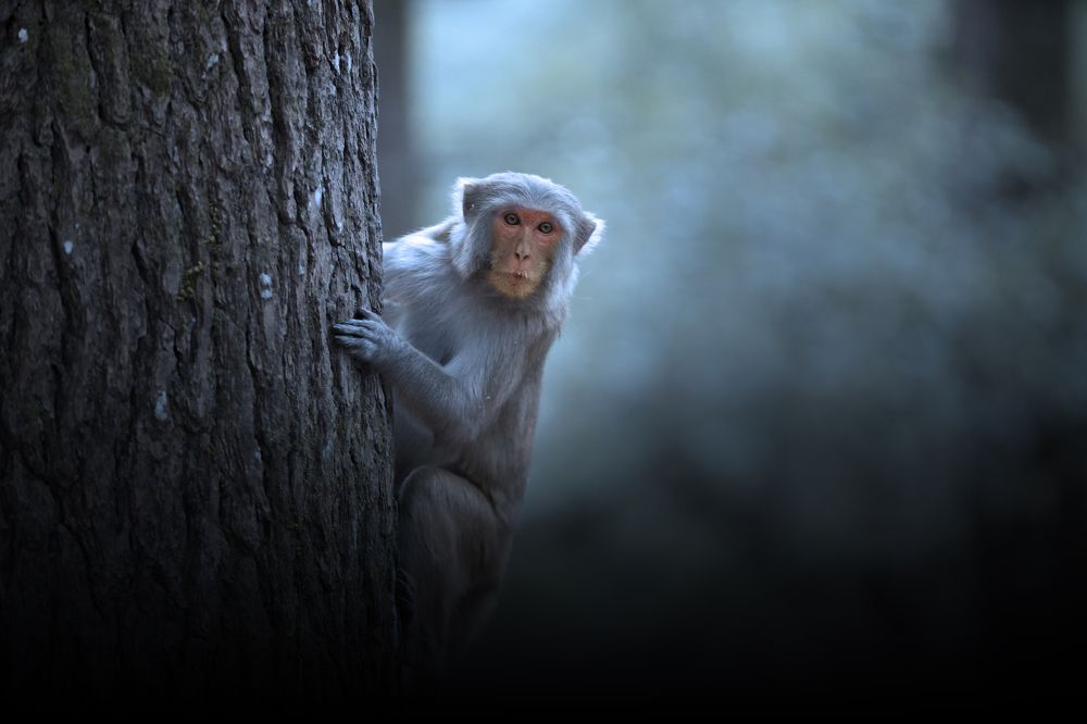 Photograph by Amit Kumar