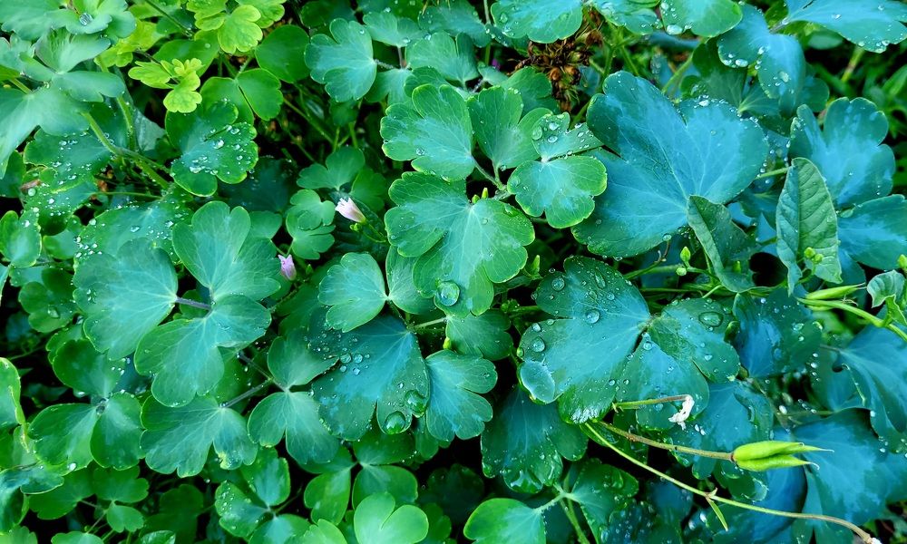 Photograph by Метушова Анна