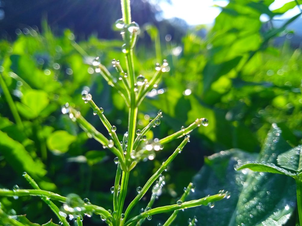 Photograph by Наталья Сорокина