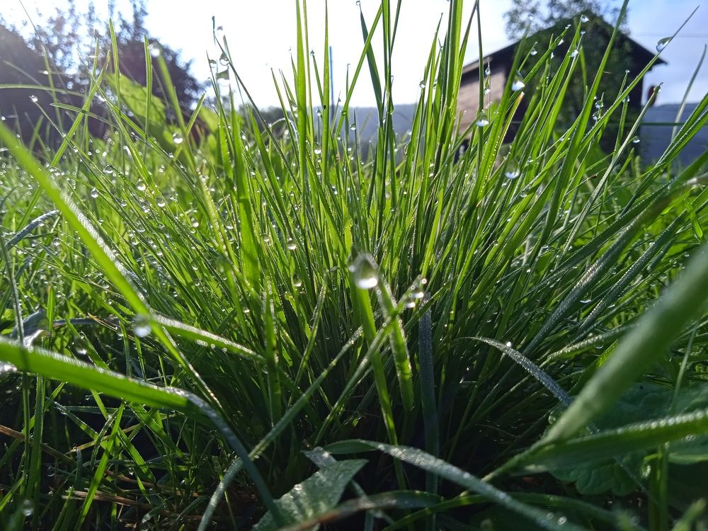 Photograph by Наталья Сорокина