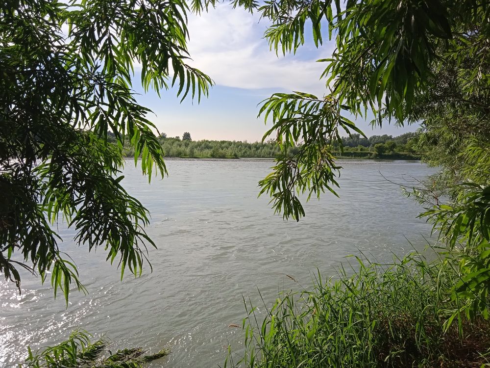 Photograph by Наталья Сорокина