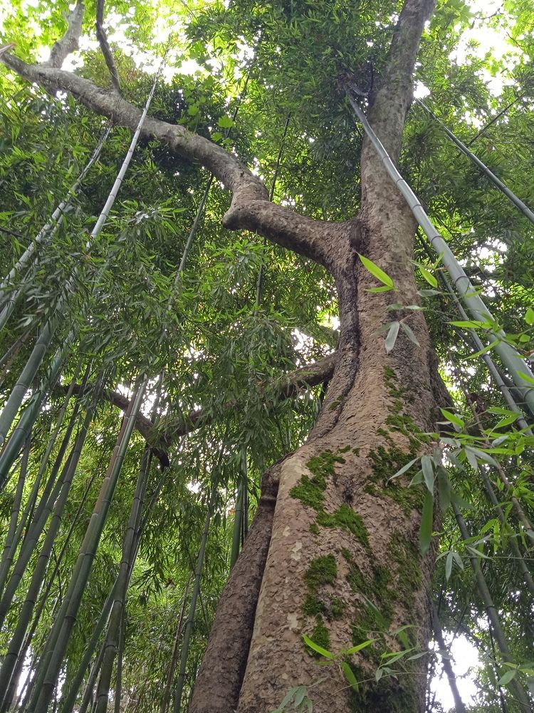 Photograph by Наталья Сорокина