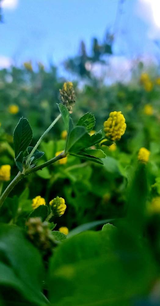 Photograph by Елена Дарьенко