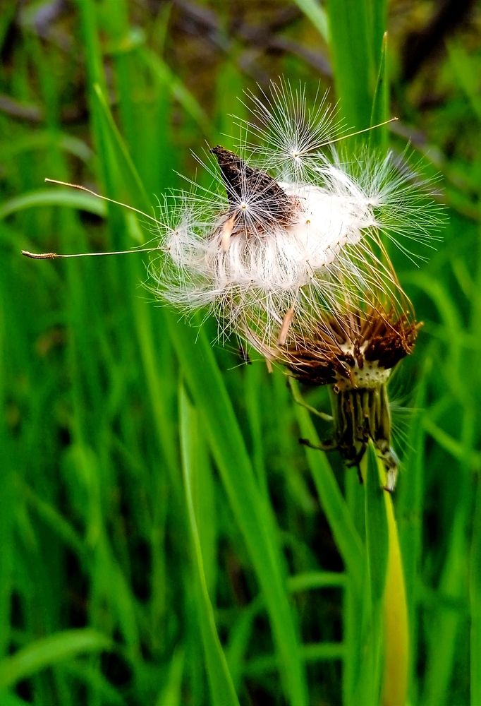 Photograph by Наталья Назаренко