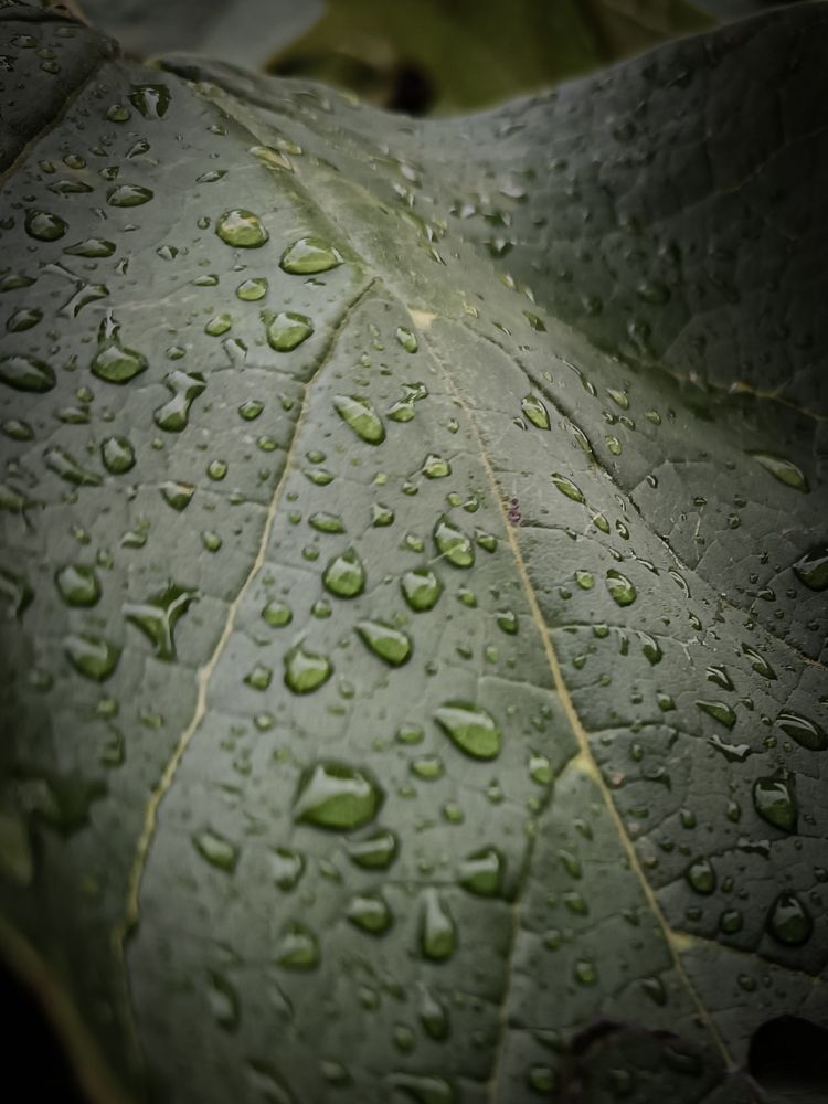 Photograph by Людмила Худякова