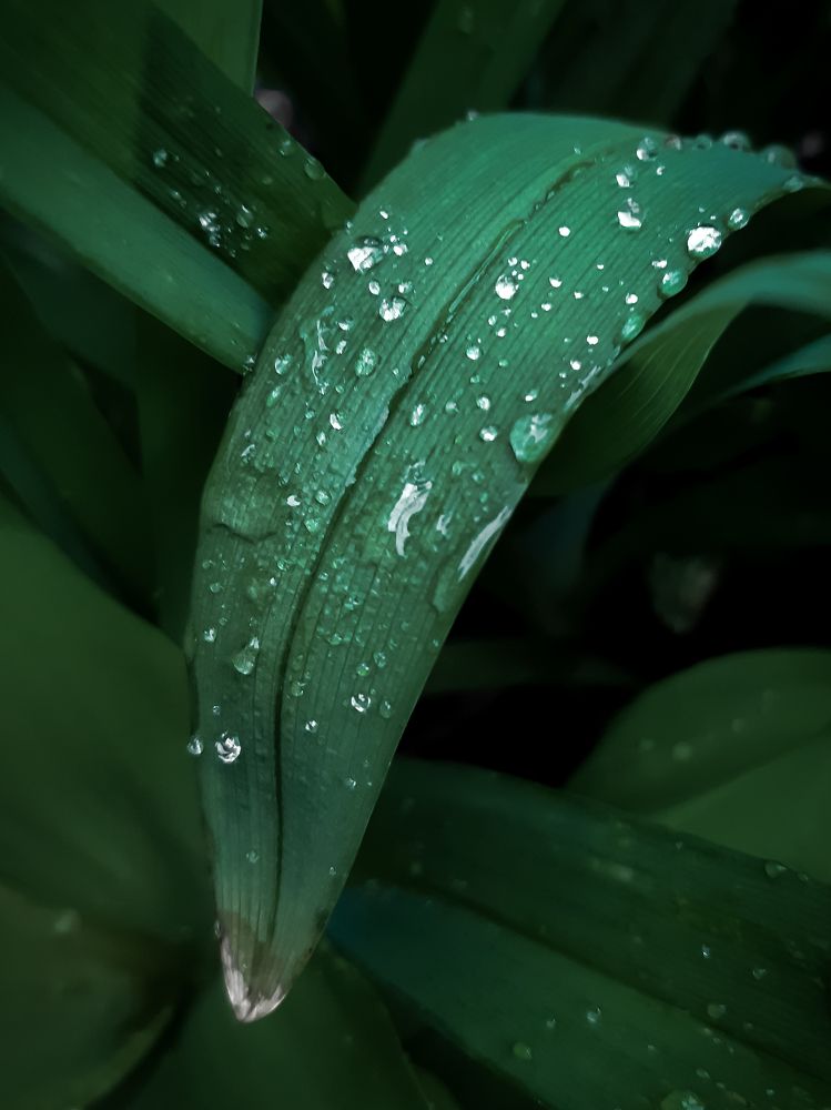 Photograph by Людмила Худякова