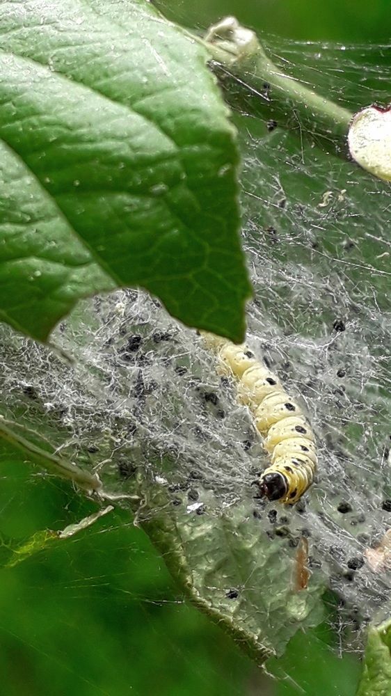 Photograph by Татьяна Солтан