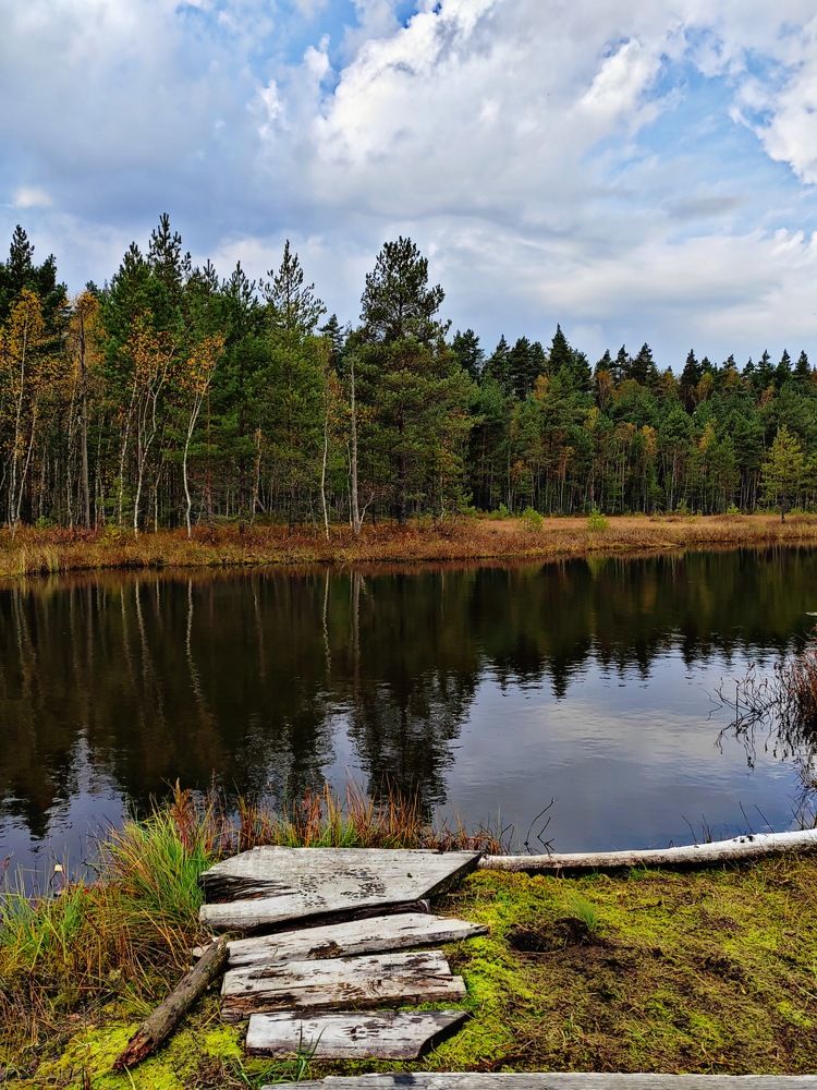 Фотография автора Татьяна Егорова