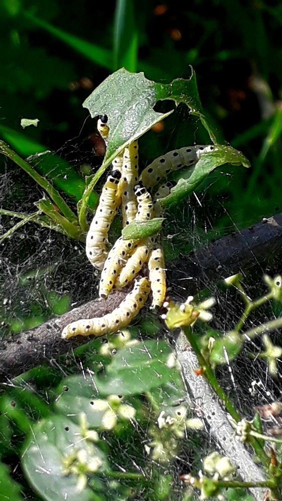 Photograph by Татьяна Солтан