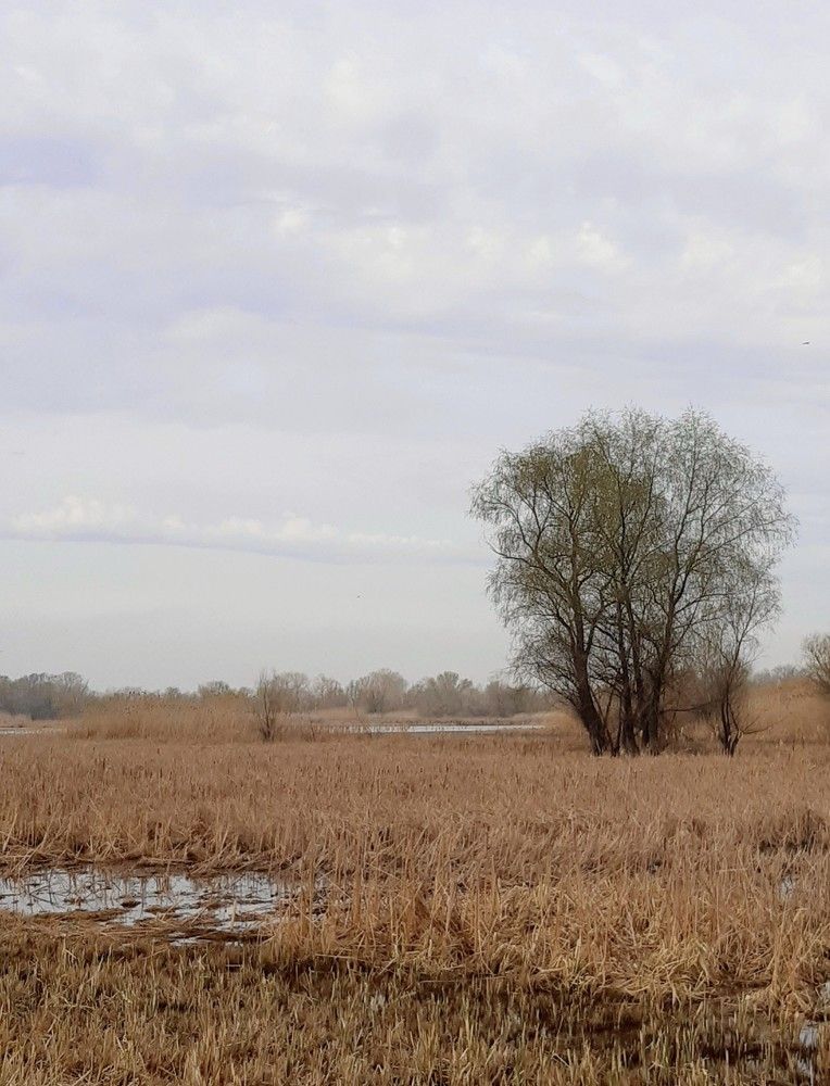 Photograph by Людмила Худякова