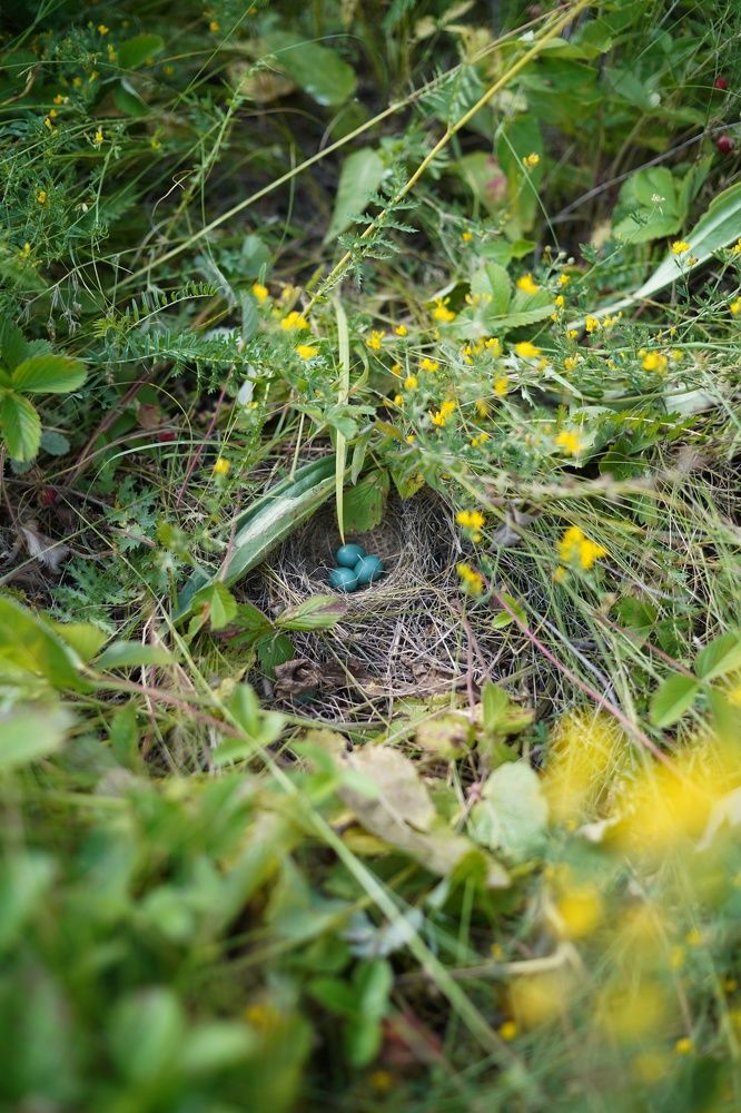 Photograph by Анастасия Позинич