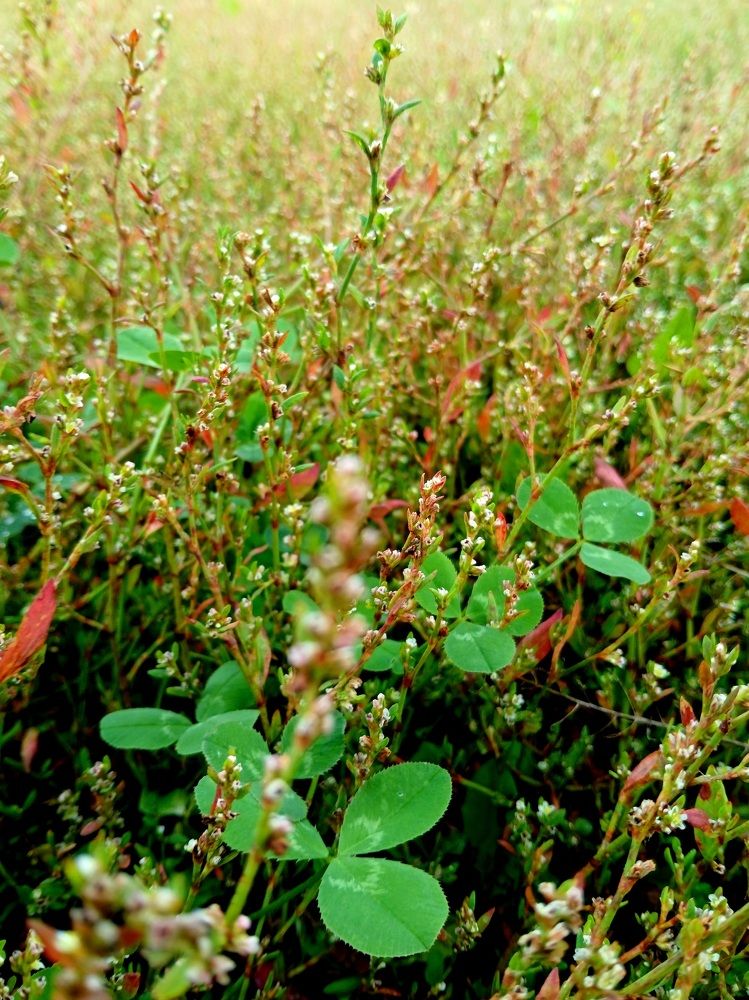 Photograph by Елена Дарьенко