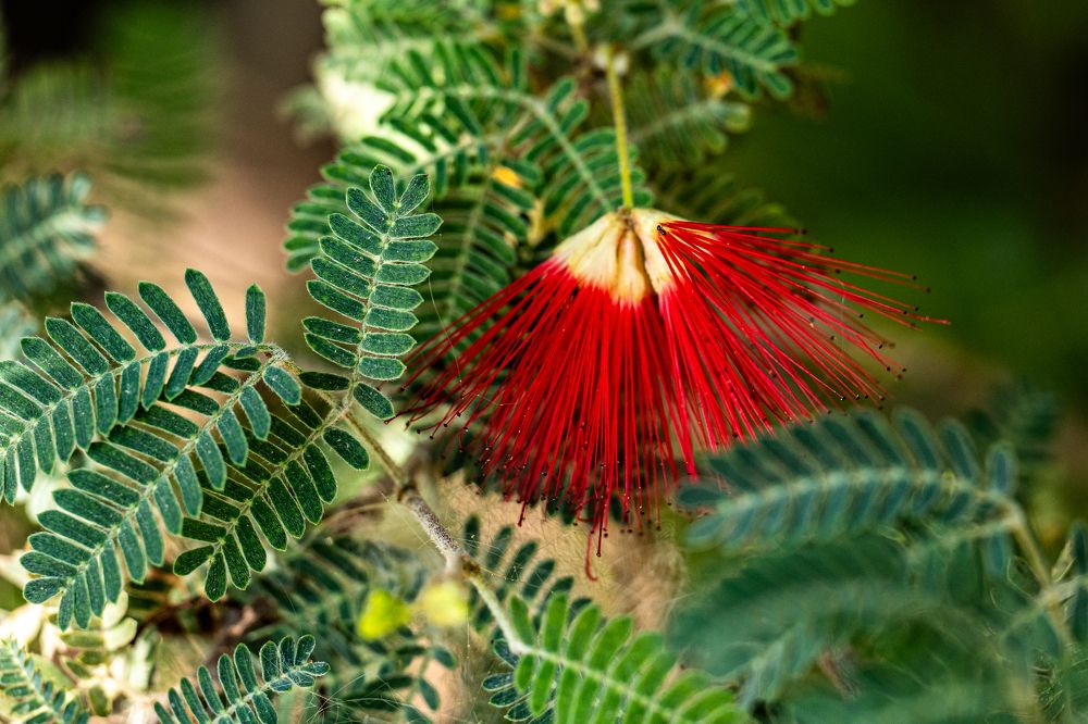 Photograph by Igor Shulkin