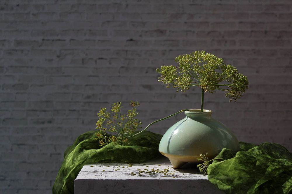 Photograph by Сироткина Нина