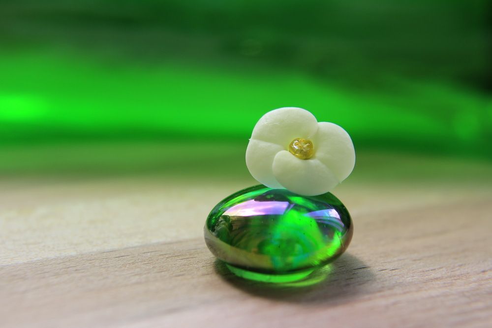 Photograph by Сироткина Нина