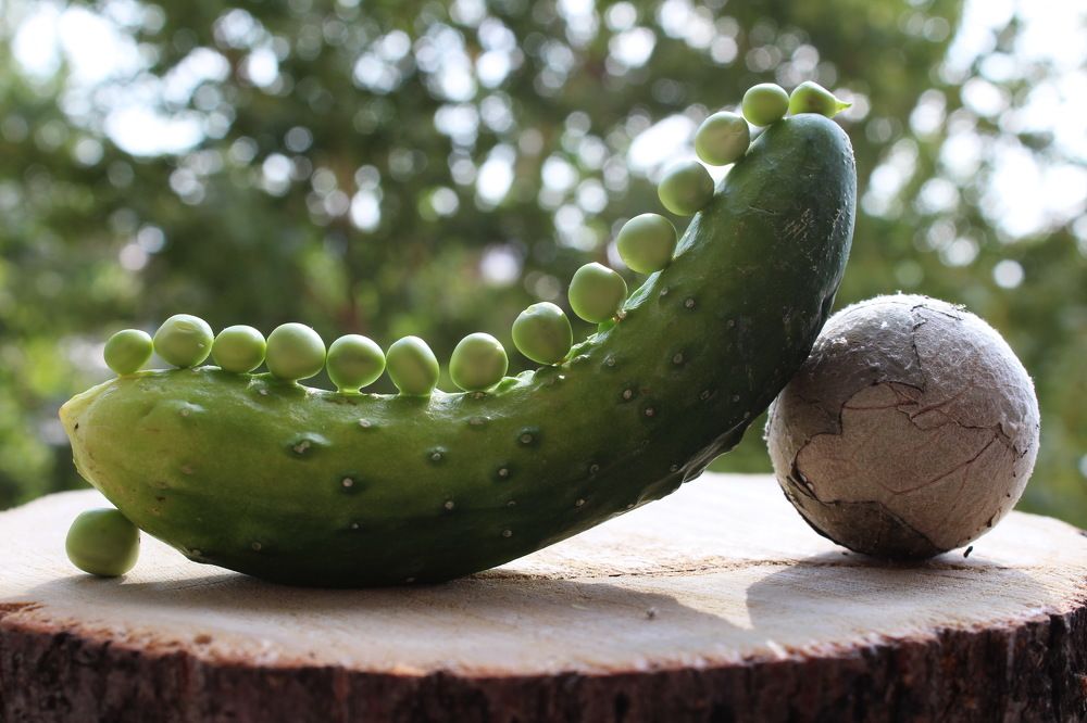 Photograph by Сироткина Нина