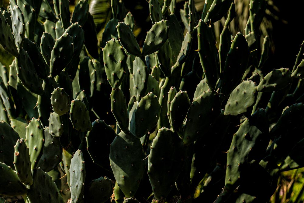 Photograph by Igor Shulkin