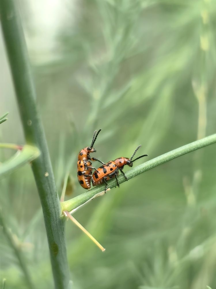 Photograph by Анастасия Доронкина